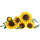 LEGO BOTANICALS 11502 Bukiet słoneczników - 1489545 - zdjęcie 3